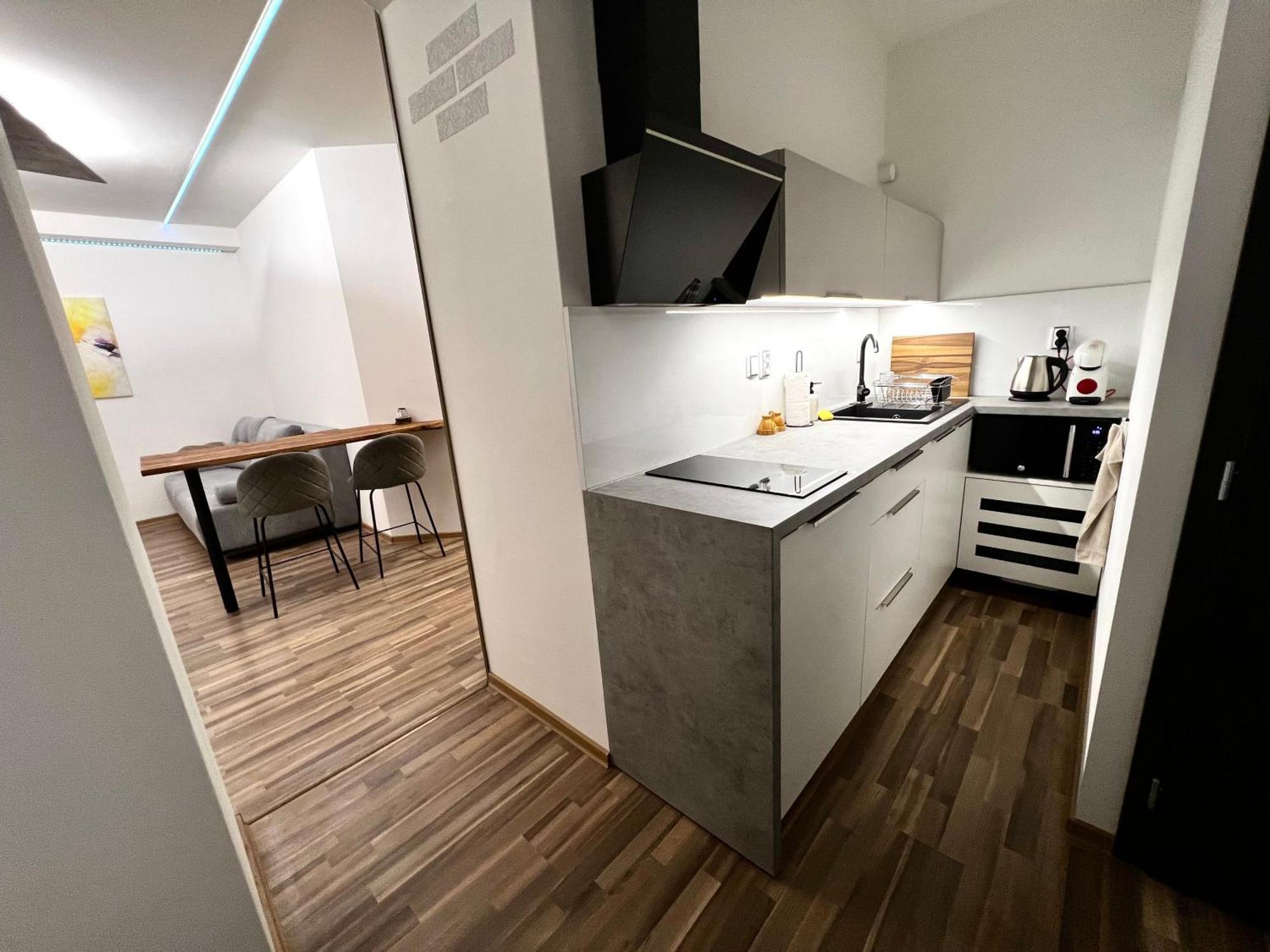 Palackeho Lobby Apartment 奥洛穆茨 外观 照片